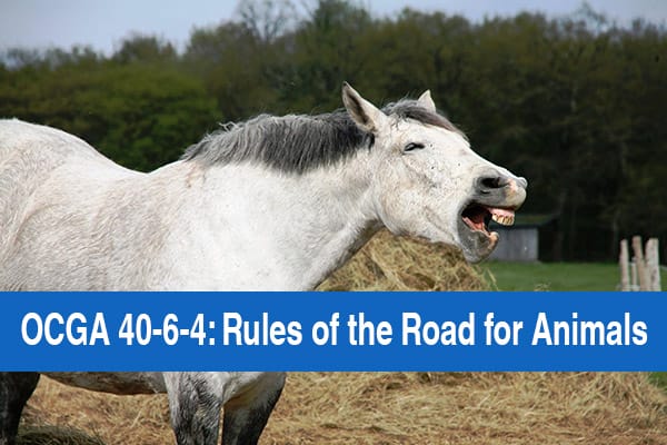 OCGA 40-6-4 Rules of the Road for Animals